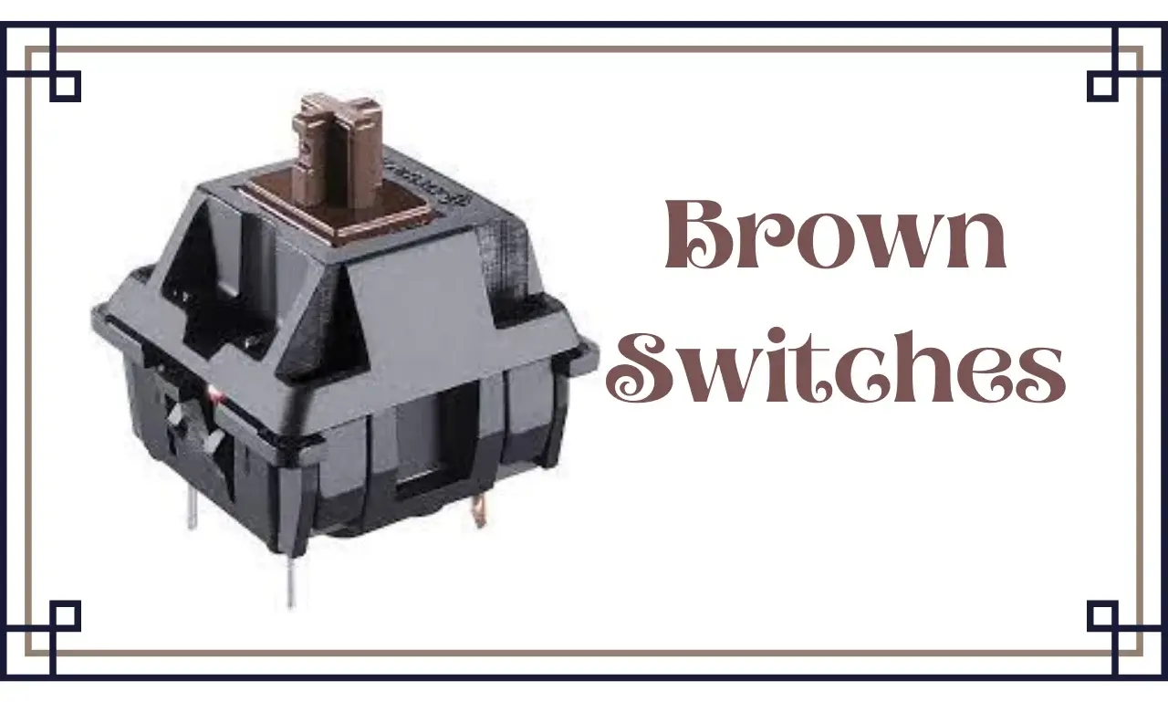 Brown_Switches_Guide