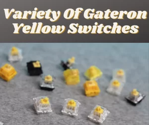 Variants of Gateron Yellow Switches