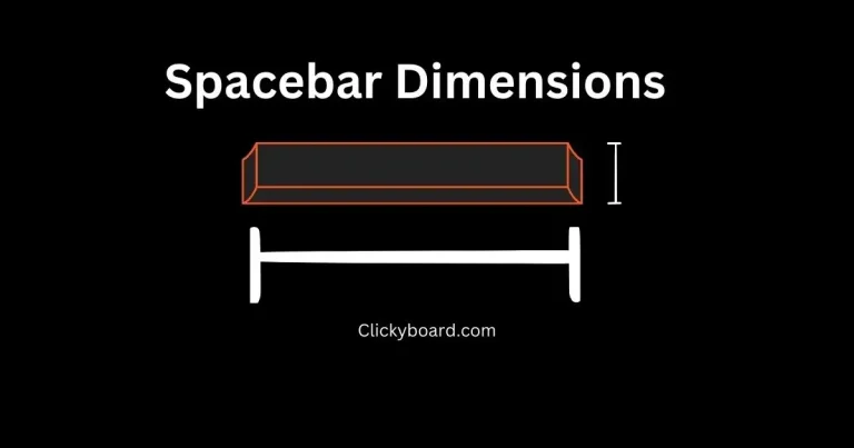 spacebar dimensions