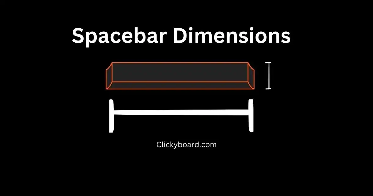 spacebar dimensions