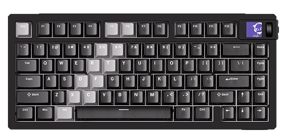 Best Akko Keyboards (2026): Tested Picks by Use Case 3 MOD-007-V5-Gradient-Hybrid-Black-Transparent-LED-GX2